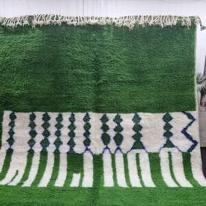 Salma – Emerald Green and White Rugs – Stylish Area Rug