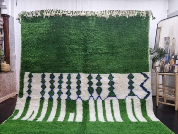 Salma – Emerald Green and White Rugs – Stylish Area Rug
