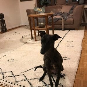 Latifa – Minimalist Moroccan Wool Rug - Tribal Design