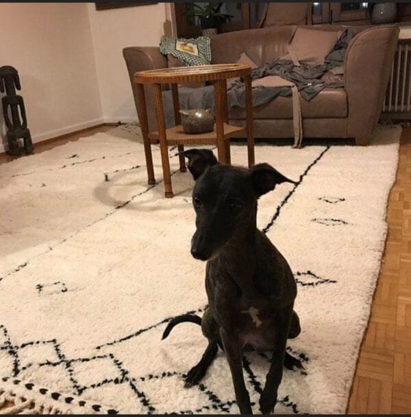 Latifa – Minimalist Moroccan Wool Rug - Tribal Design