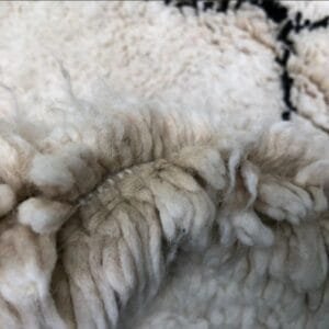 Zahraoua – Timeless Berber Rug - Handwoven Elegance