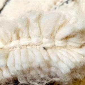 Chadia – Linear Moroccan Rug - Artisan Elegance Redefined