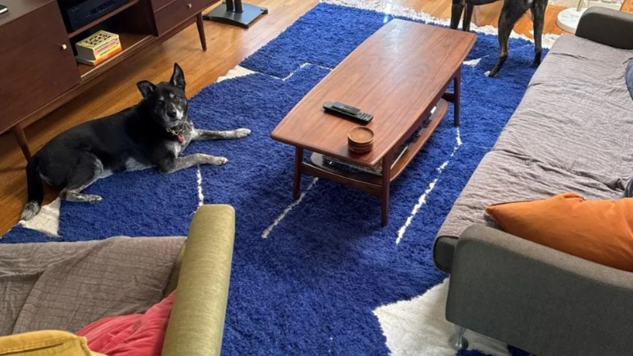 How a Blue Moroccan Rug Elevates Your Space