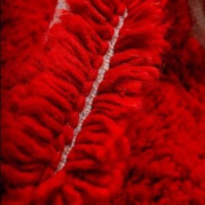 Moroccan Rugs Aicha –Elegant Rugs with Red – Handmade Moroccan Wool Carpet