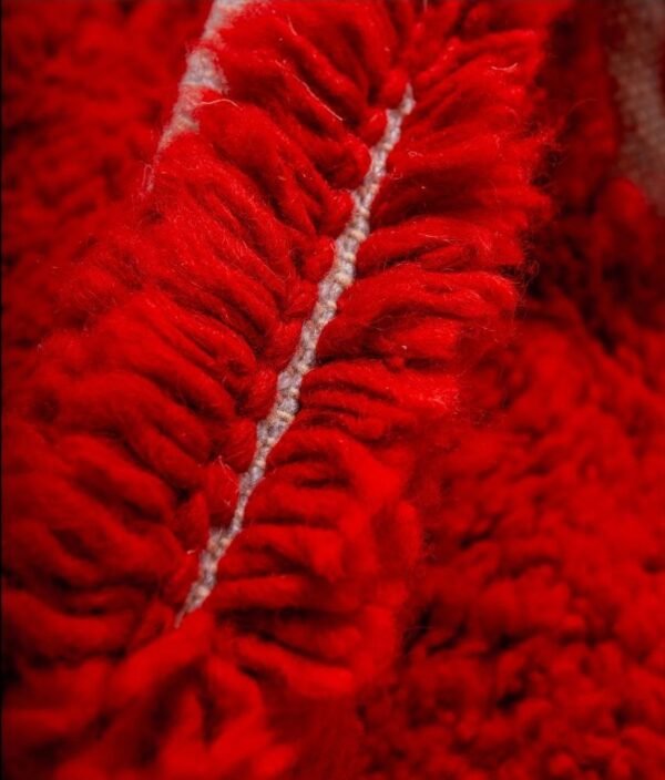 Moroccan Rugs Aicha –Elegant Rugs with Red – Handmade Moroccan Wool Carpet