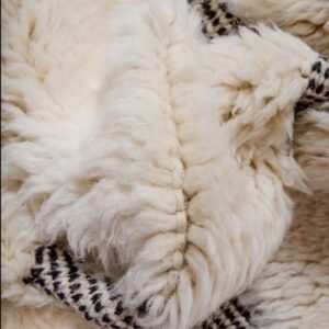 Handwoven Wool Rug for Living Rooms Moroccan Rug 8x10 – Handwoven Wool Rug for Living Rooms